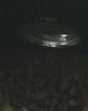IMG0237A.jpg