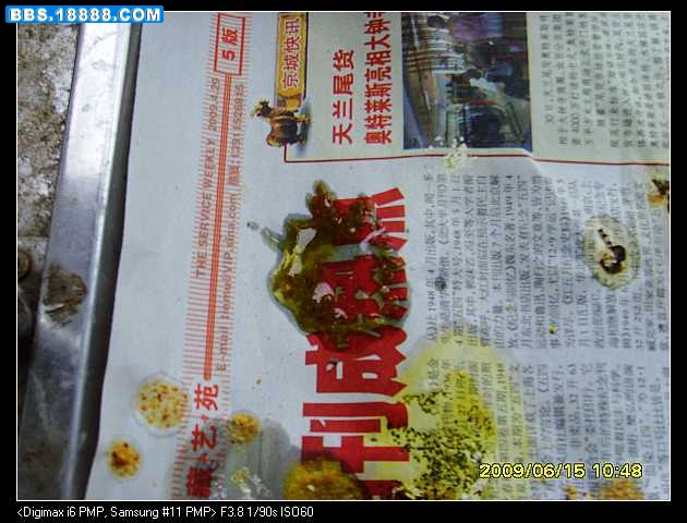 SSL25077_nEO_IMG.jpg