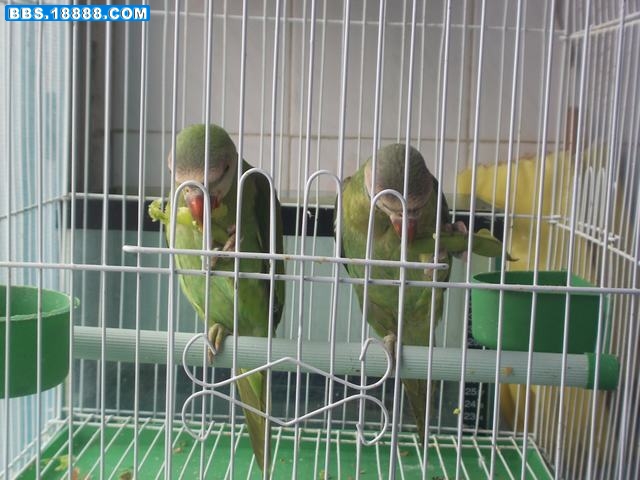 照片 032.jpg
