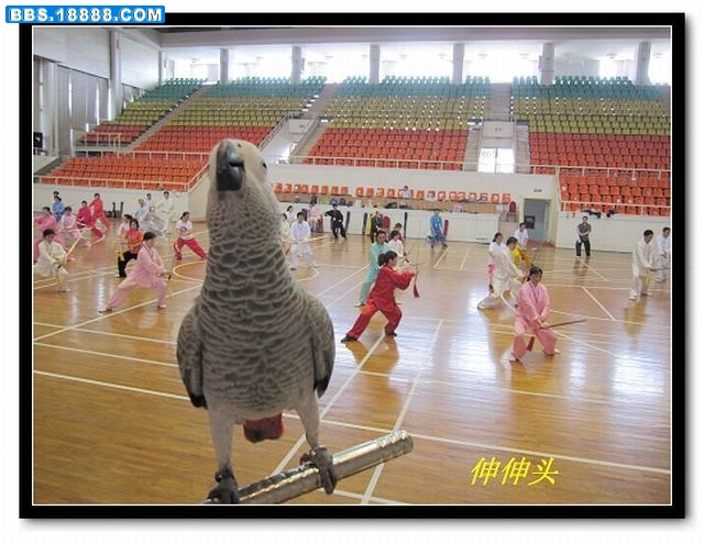 16.jpg