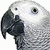 40746.gif