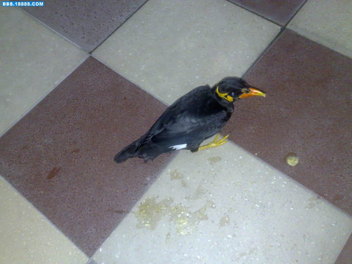 20090602763.jpg