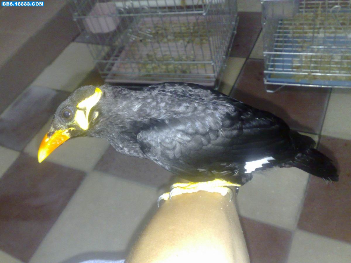 20090602745.jpg