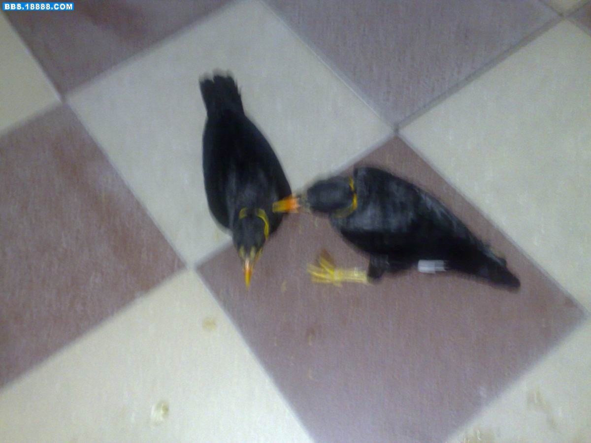 20090602765.jpg