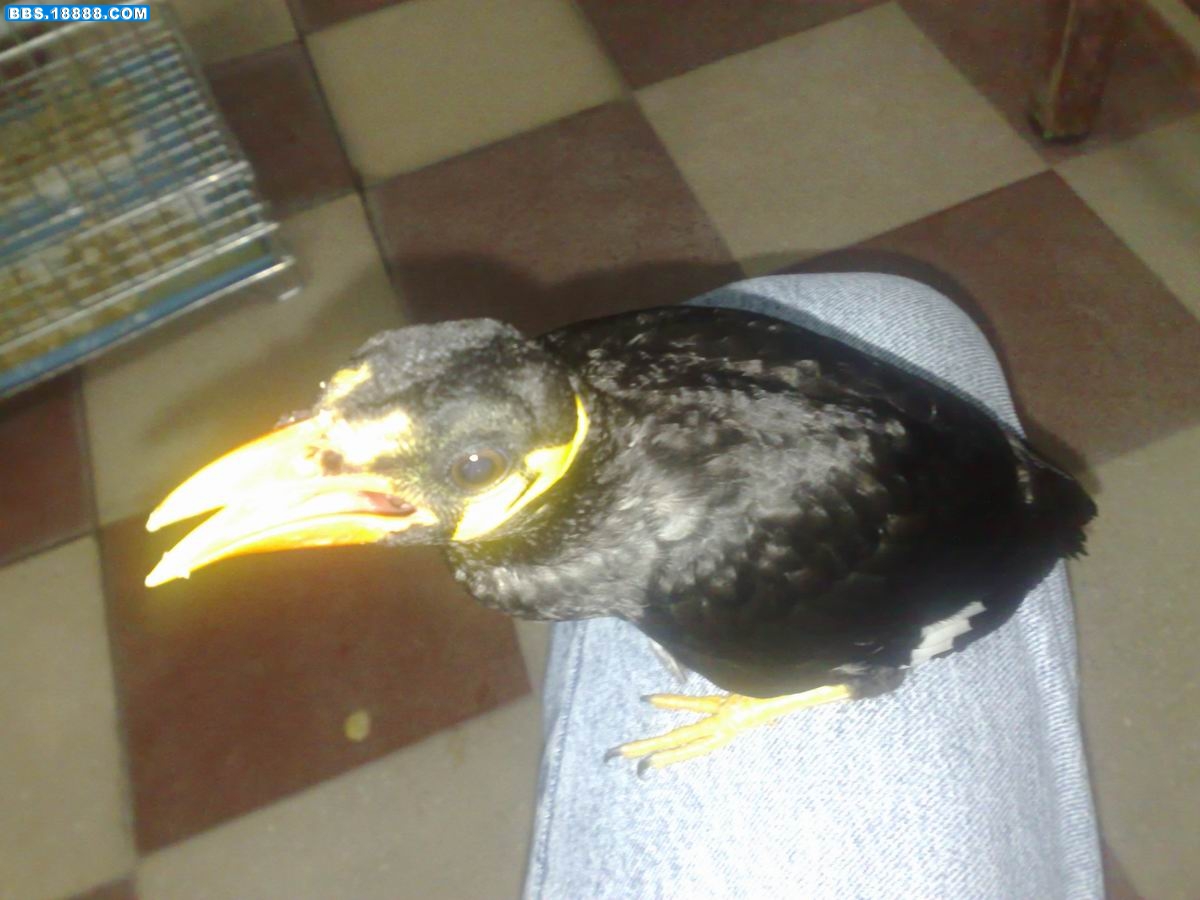20090602754.jpg