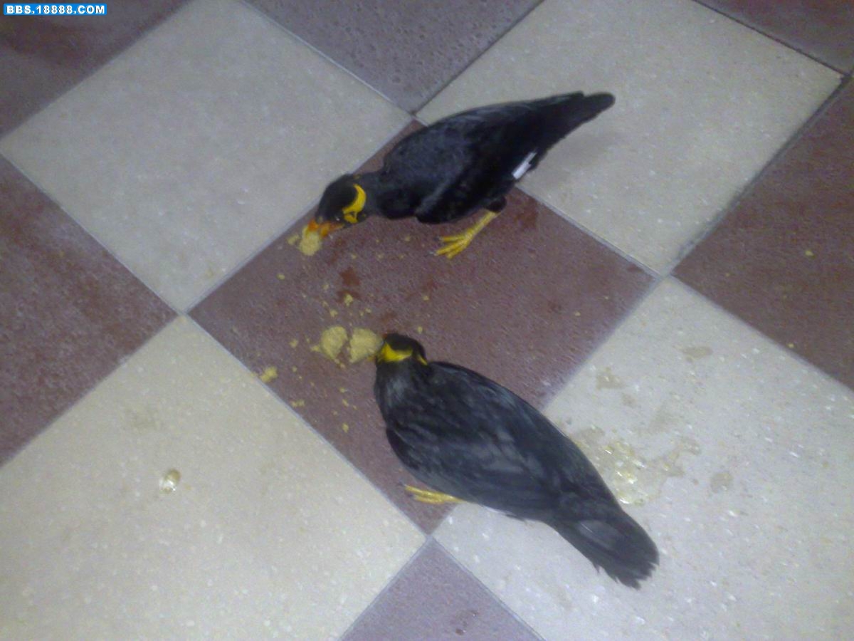 20090602766.jpg