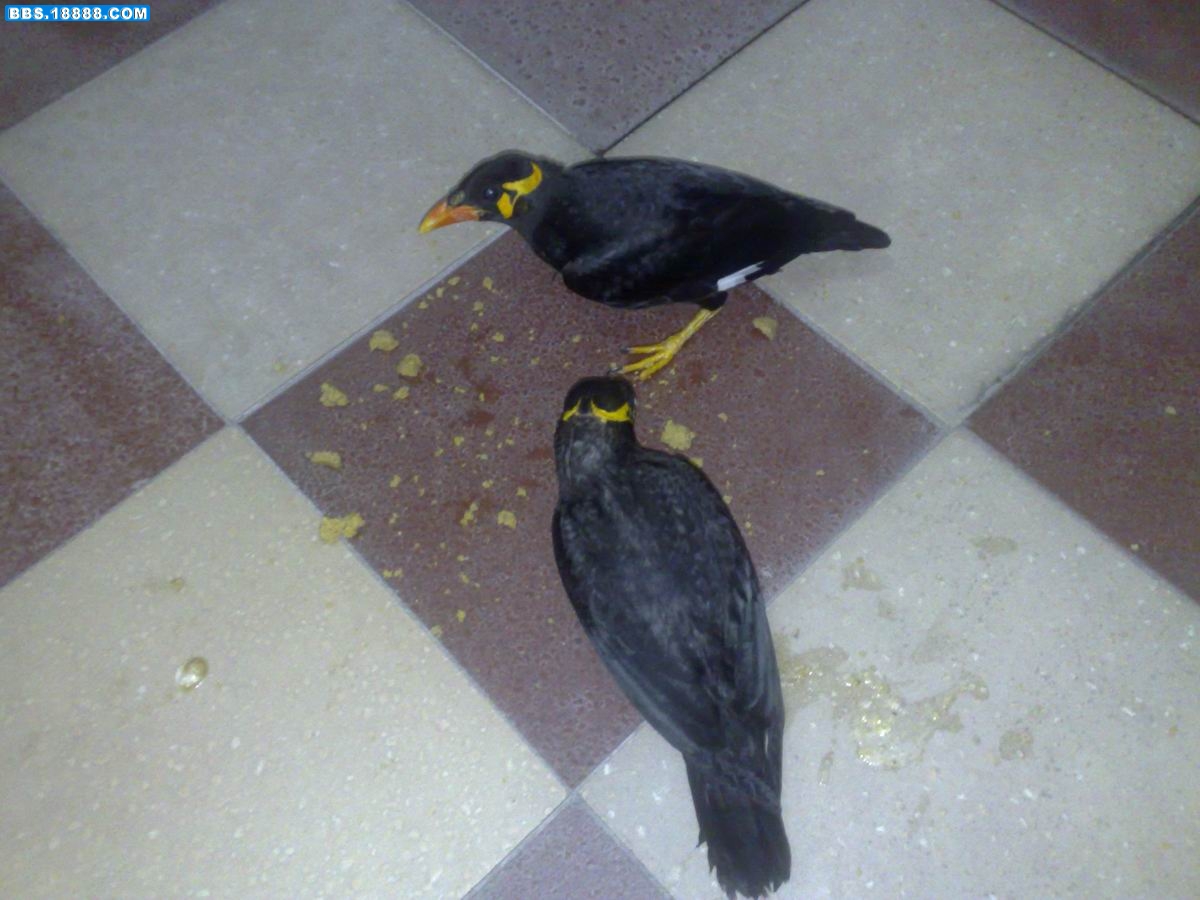 20090602770.jpg