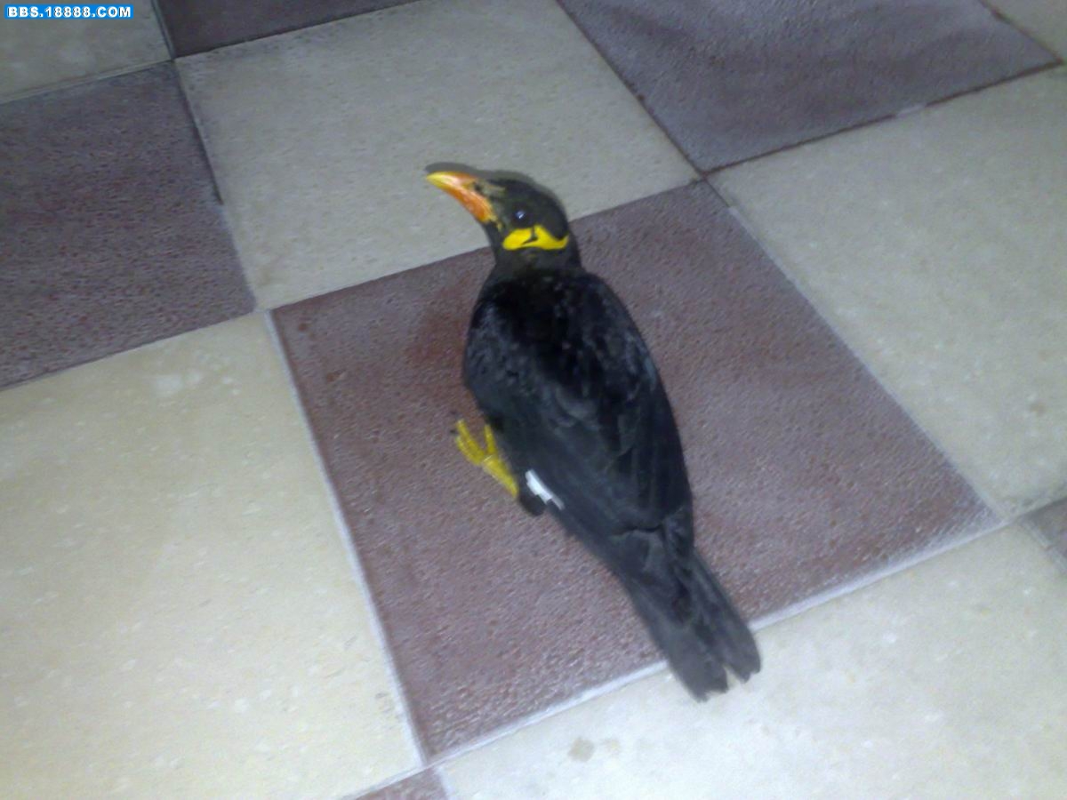 20090602736.jpg