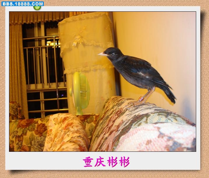 DSC03710.jpg