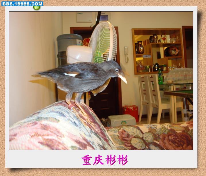 DSC03705.jpg
