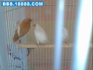 IMG0236A.jpg