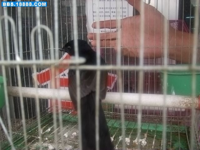 DSCF1205.JPG
