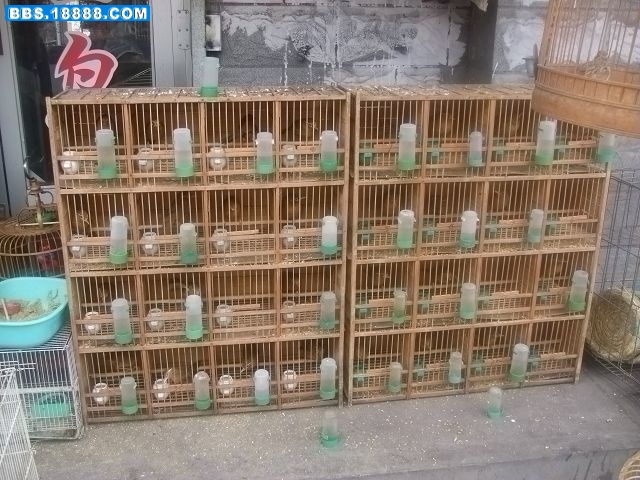 DSCF1201.JPG