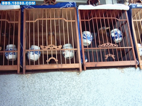 PCDV0137.JPG