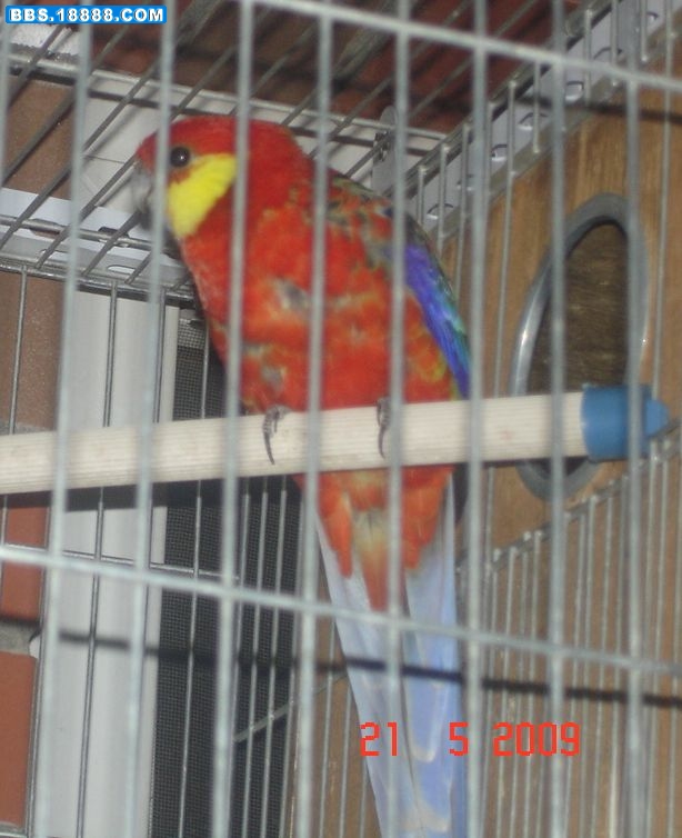 1243831714-1.jpg