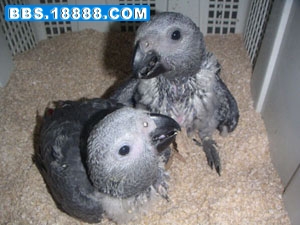 复件 PICT0098.JPG