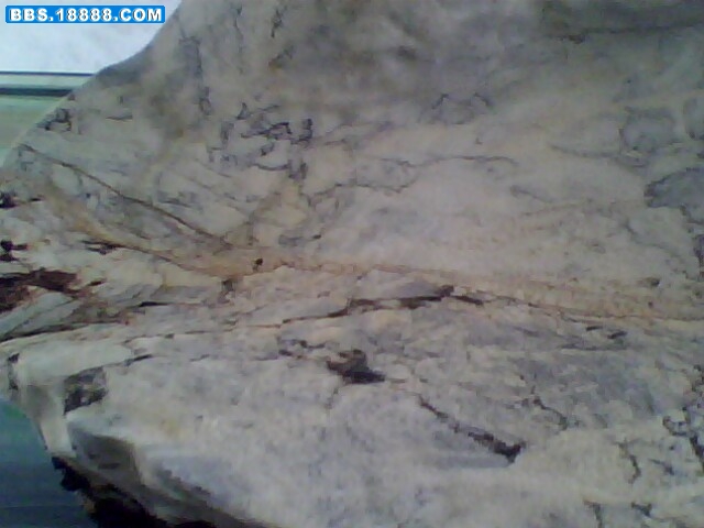 IMG0692A.jpg