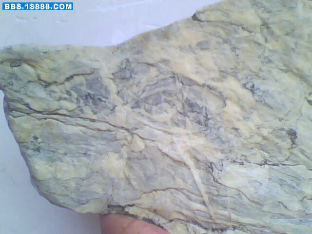 IMG0685A.jpg