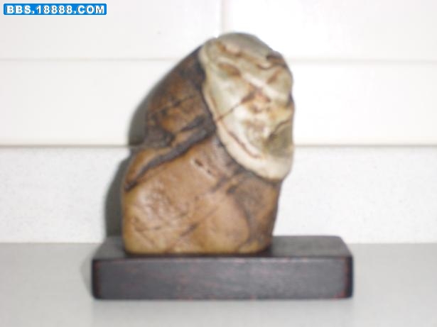 SL270286.JPG