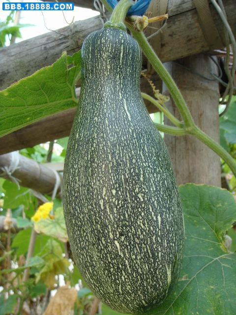 DSC00849.JPG