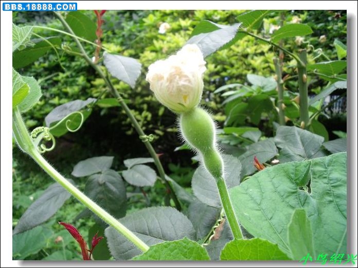 DSCF2757.jpg