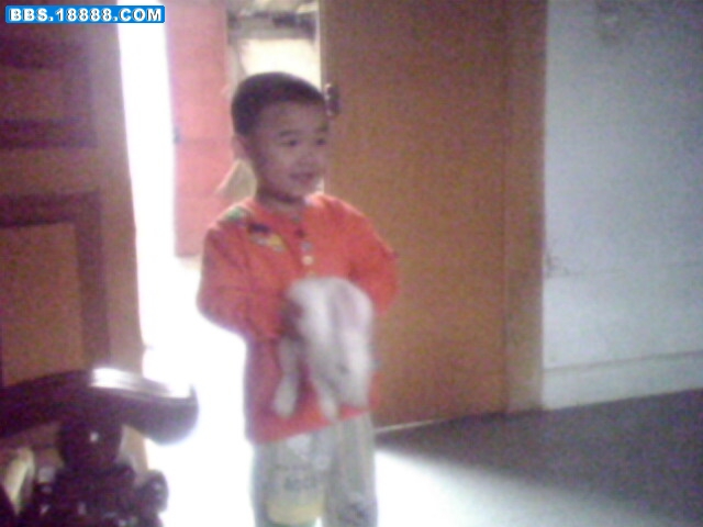 IMG0276A.jpg