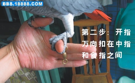 未命名02.jpg