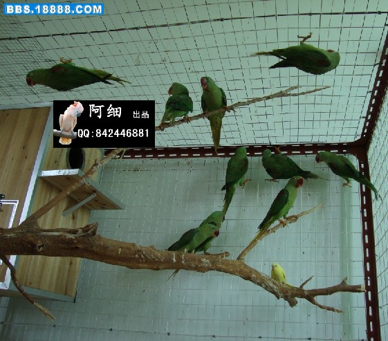 未命名.jpg