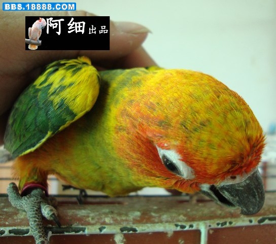 未命名5.jpg