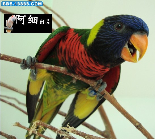 未命名7.jpg