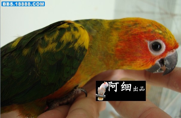 未命名9.jpg
