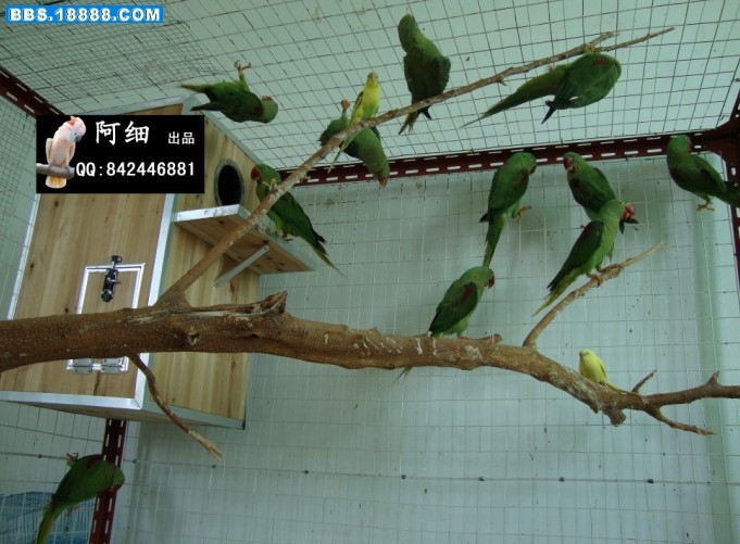 未命名2.jpg