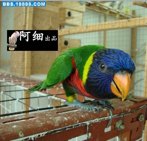 未命名4.jpg