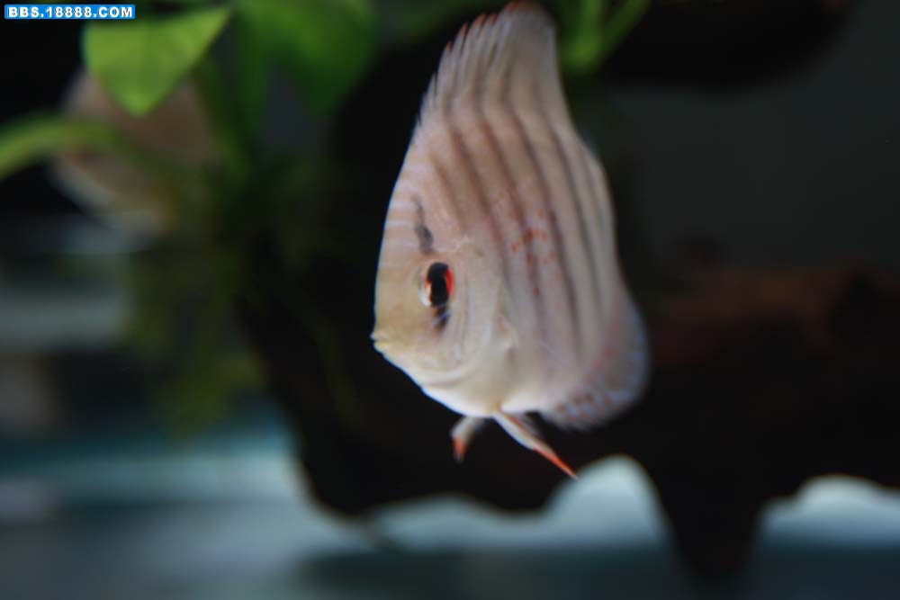 测试 983.jpg