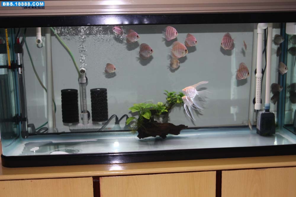 测试 972.jpg