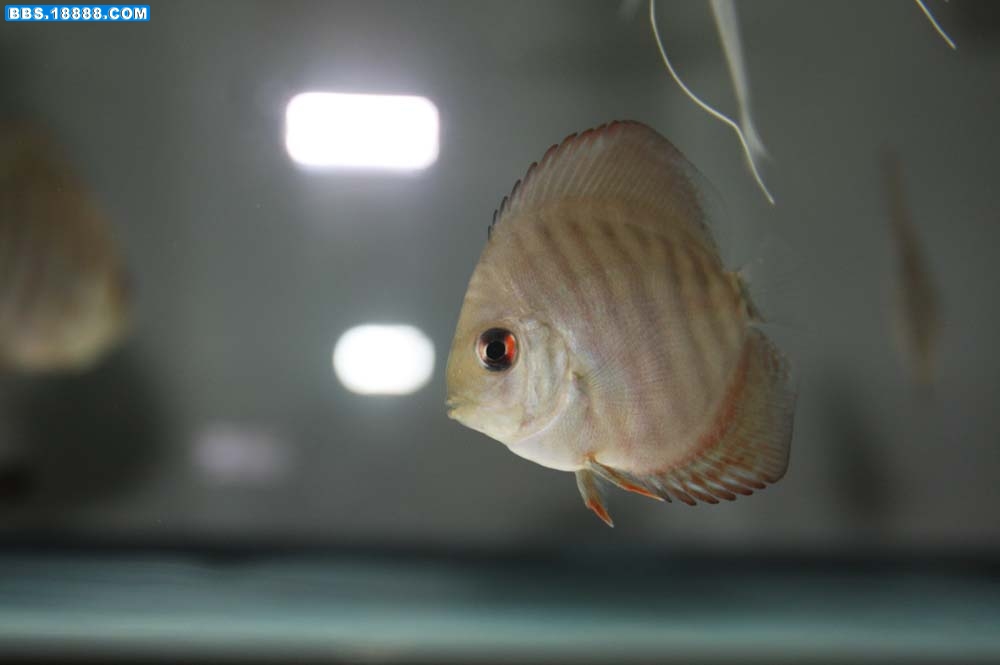 测试 975.jpg