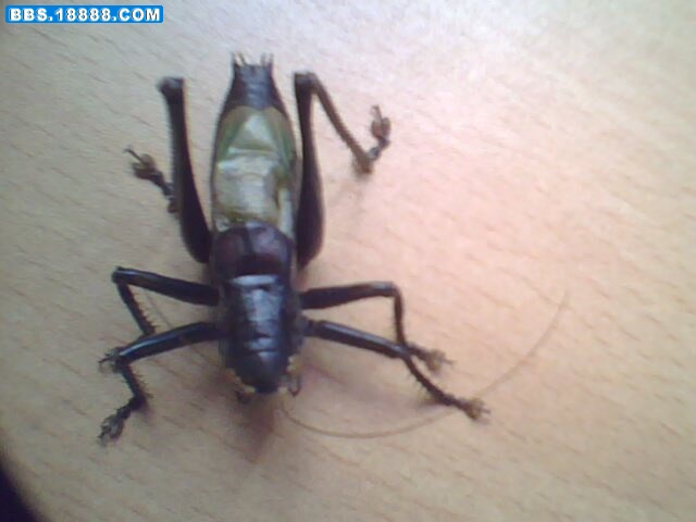 20090613_104549.jpg