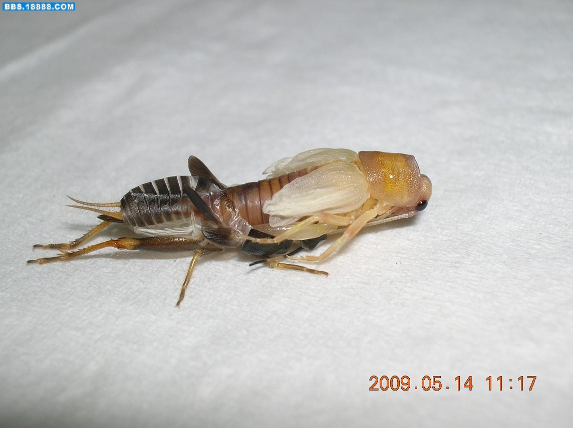 DSCN4967.JPG