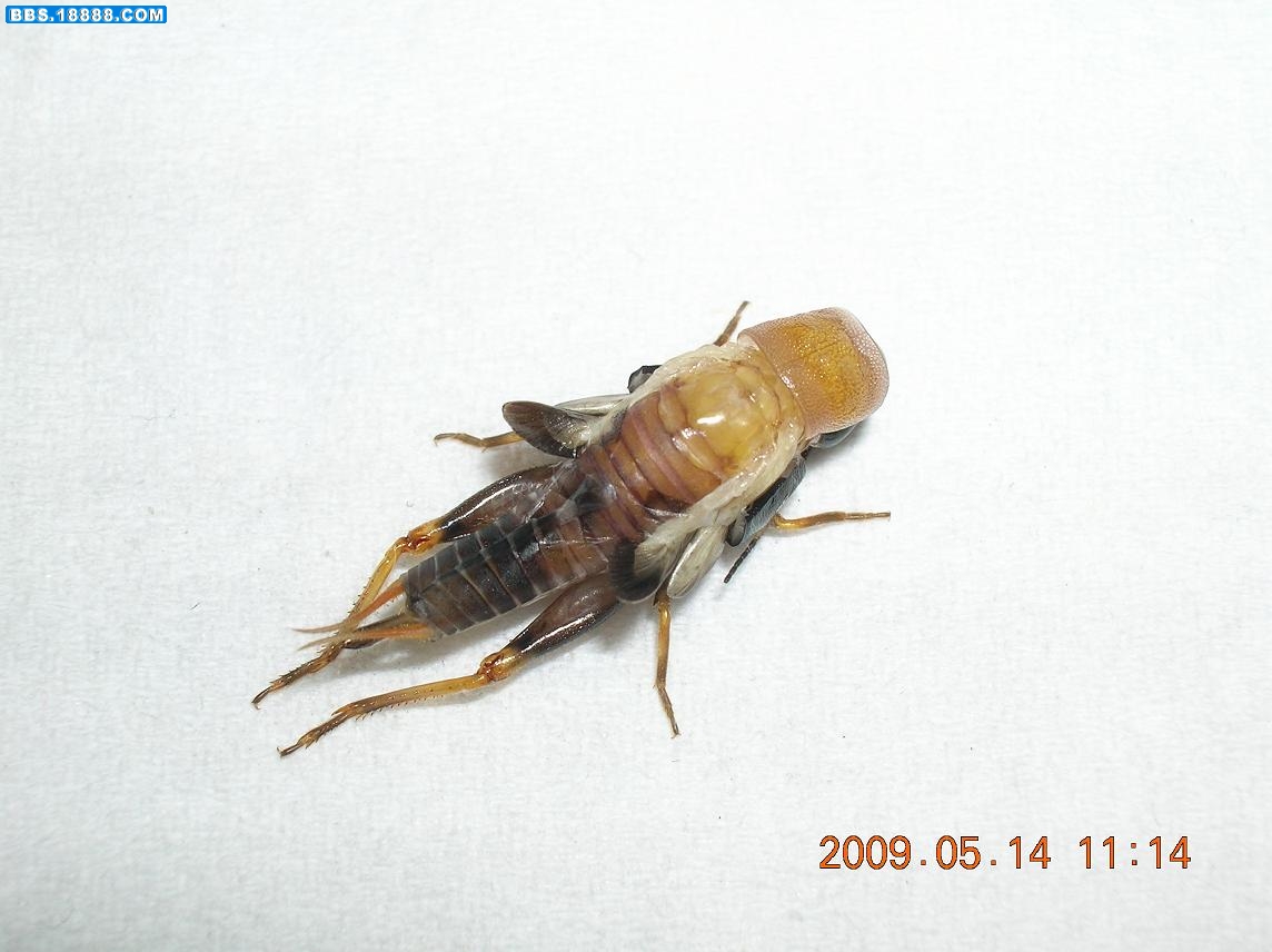 DSCN4956.JPG