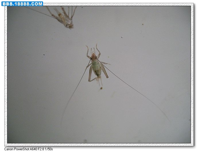 nEO_IMG_照片 007.jpg