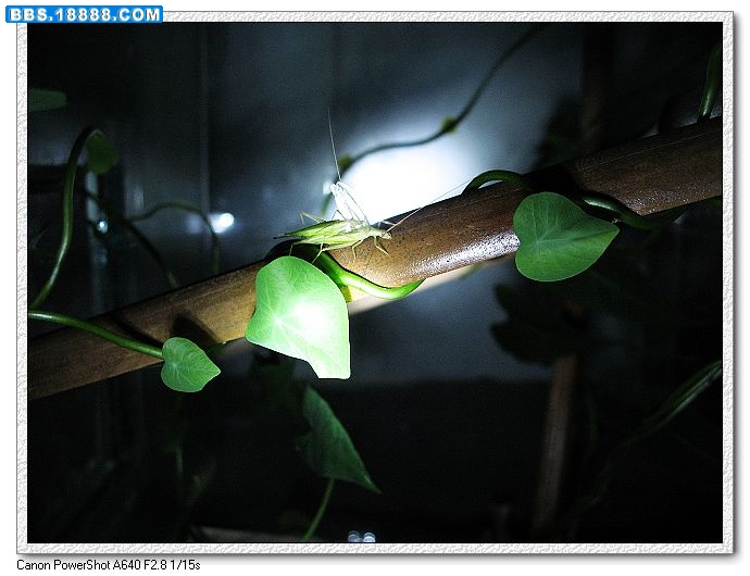 nEO_IMG_照片 047.jpg