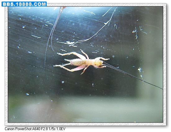 nEO_IMG_照片 001.jpg