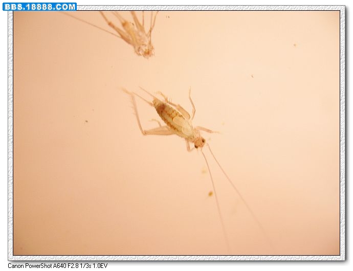 nEO_IMG_照片 005.jpg