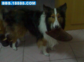 20080113133.JPG2.JPG