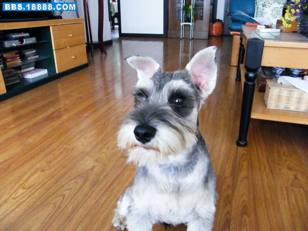 DSCF5218.jpg