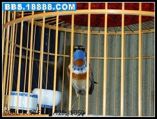 nEO_IMG_DSCN2148.jpg
