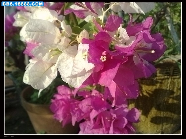 20090630289.jpg