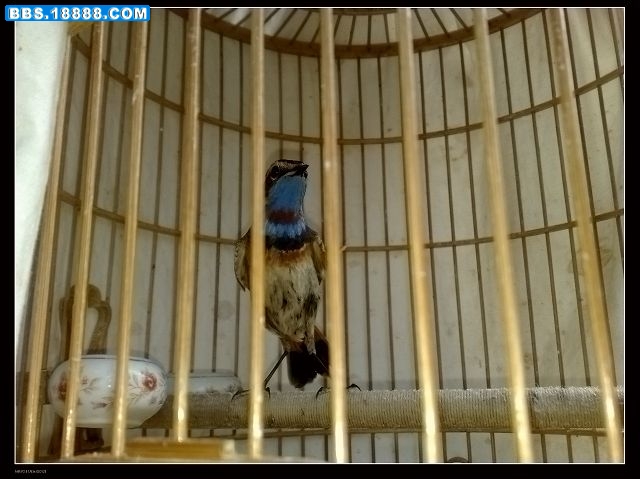 20090602136.jpg