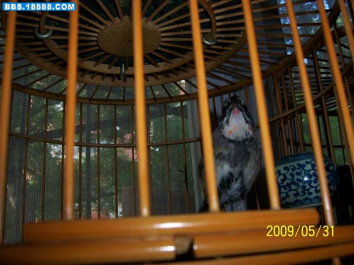 100_9018.jpg