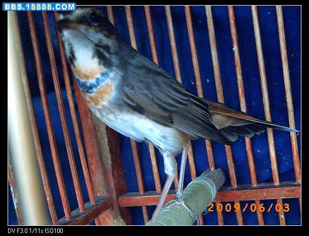 PICT0003.jpg